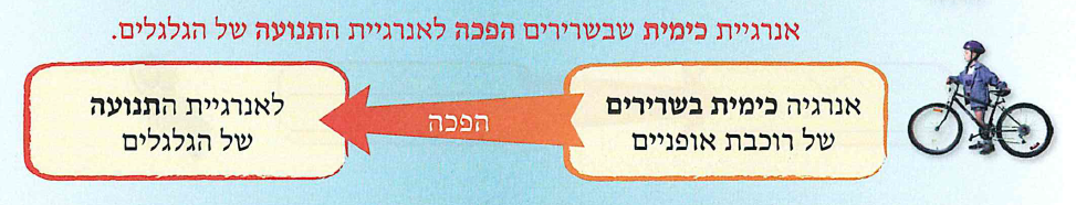 (תרשים 1:) כוס מים חמים על השולחן